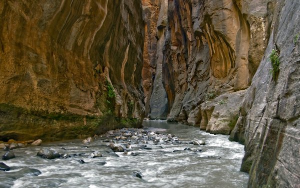 60+ Grand Canyon HD Wallpapers | Background Images