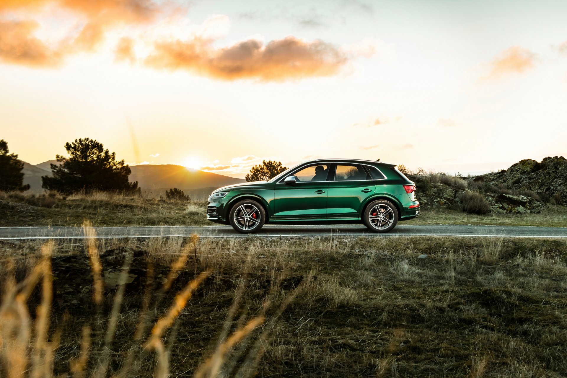 Download SUV Green Car Car Audi Vehicle Audi SQ5 HD Wallpaper