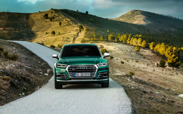 SUV green car car Audi vehicle Audi SQ5 HD Desktop Wallpaper | Background Image