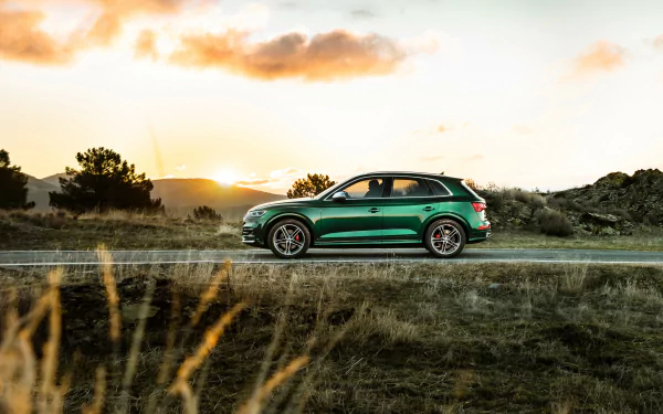 SUV green car car Audi vehicle Audi SQ5 HD Desktop Wallpaper | Background Image