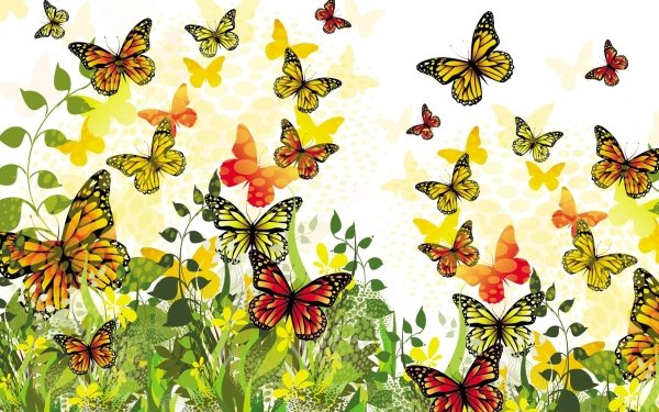 Artistic Butterfly Colorful HD Wallpaper | Background Image