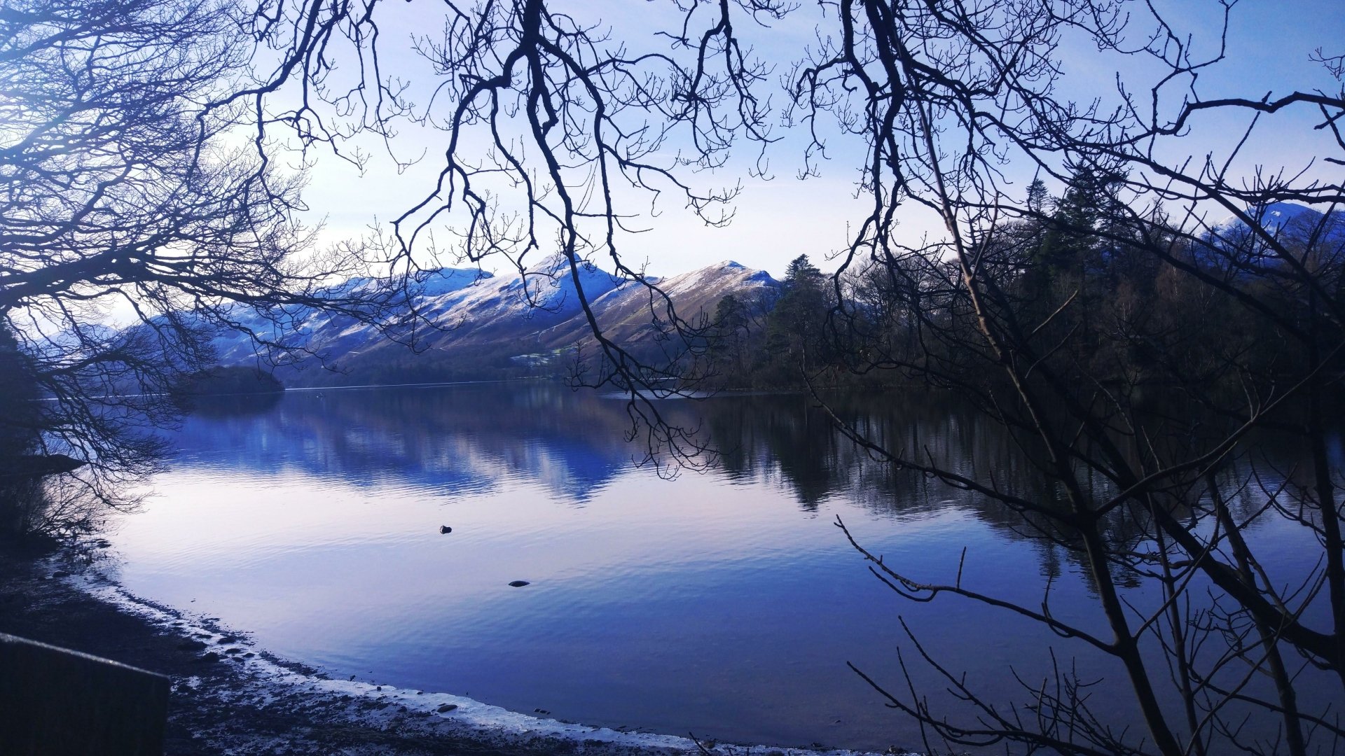 4K Ultra HD desktop wallpaper showcasing a tranquil lake surrounded by bare trees and distant snow-capped mountains under a clear blue sky at dawn.