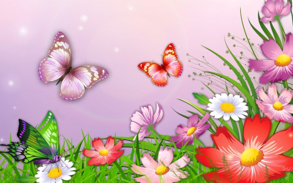 Artistic Spring Flower Butterfly HD Wallpaper | Background Image